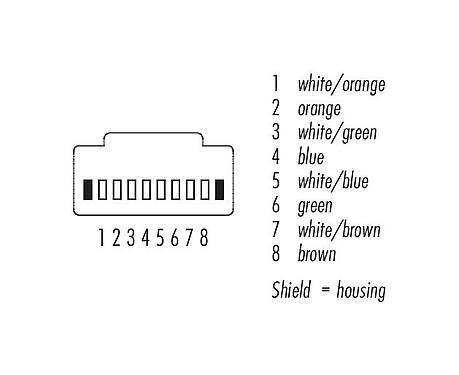 Contact arrangement (Plug-in side) 77 9753 9753 34708-0030 - RJ45/RJ45 Connecting cable 2 RJ45 connector, Contacts: 8, shielded, crimping, IP20, Ethernet CAT5e, TPE, blue/green, 4 x 2 x AWG 24, 0.3 m