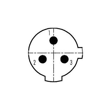 Disposition des contacts (Côté plug-in) 99 2430 12 03 - 1/2 UNF Connecteur femelle, Contacts: 2+PE, 6,0-8,0 mm, non blindé, pince à visser, IP67, UL