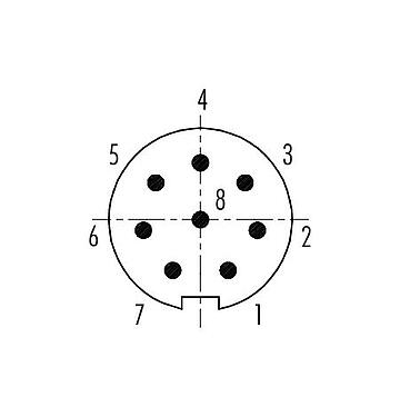 Disposición de los contactos (lado de la conexión) 99 4929 00 08 - Push Pull Conector de cable macho, Número de contactos: 8, 3,5-5,0 mm, blindable, soldadura, IP67