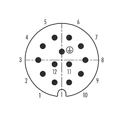 Disposición de los contactos (lado de la conexión) 99 0717 03 13 - RD30 Conector de cable macho, Número de contactos: 12+PE, 14,0-18,0 mm, sin blindaje, soldadura, IP65