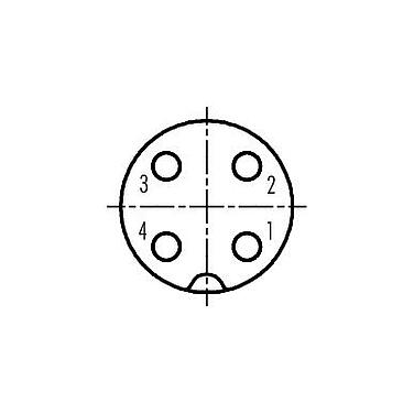 Disposición de los contactos (lado de la conexión) 09 0440 010 04 - M18 Conector de cable hembra, Número de contactos: 4, 6,5-8,0 mm, sin blindaje, tornillo extraíble, IP67, UL