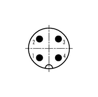 Disposición de los contactos (lado de la conexión) 09 0441 81 04 - M18 Enchufe de brida, Número de contactos: 4, sin blindaje, soldadura, IP67