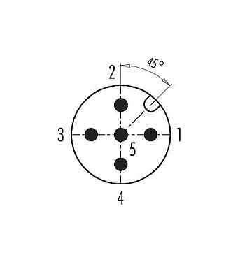 Disposición de los contactos (lado de la conexión) 99 0437 142 05 - M12 Conector dúo de cable macho, Número de contactos: 5, 2 x Cable Ø 2,1-3,0 mm  o Ø 4,0-5,0 mm, sin blindaje, tornillo extraíble, IP67, UL