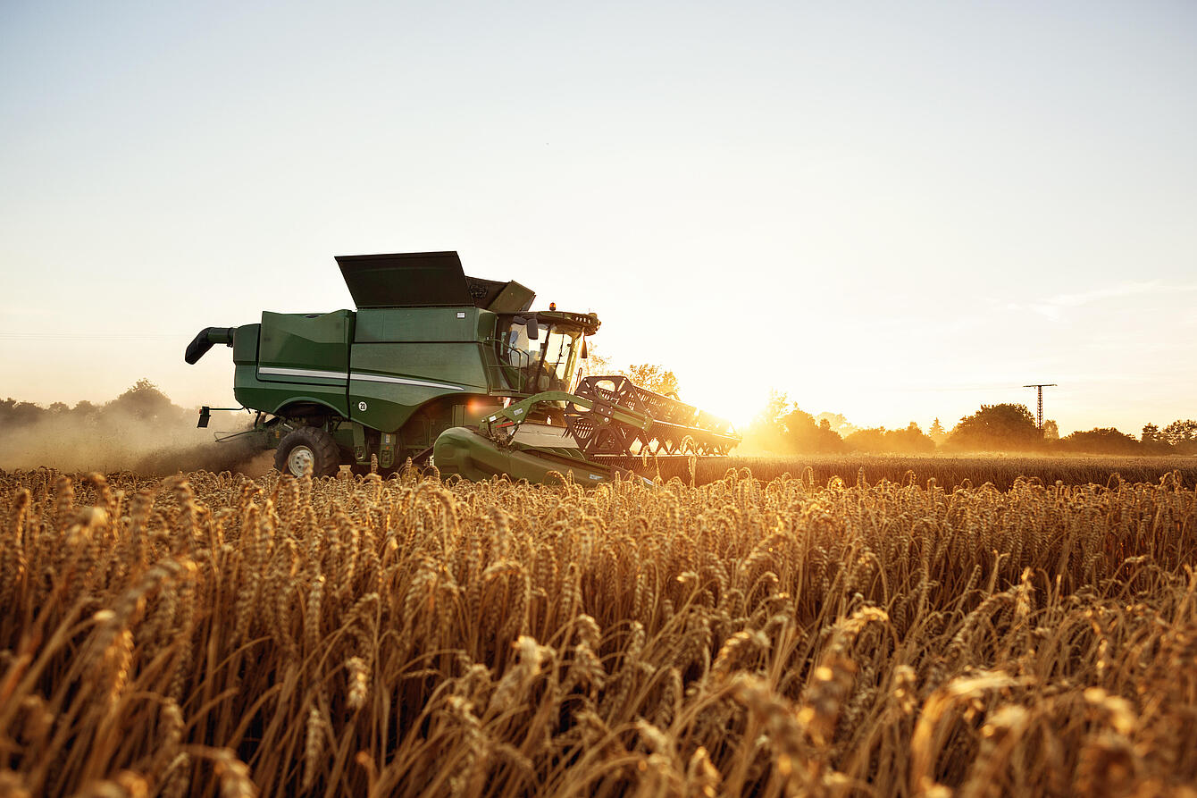 Combine harvester in the field