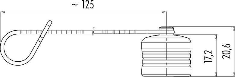 Scale drawing Protecting cap, IP67
