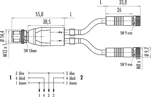 Scale drawing M12/M8 Male cable splitter - 2 female cable connectors, Contacts: 4/3, unshielded, moulded on the cable, IP67, UL 2238, PUR, black, 3 x 0.34 mm², 2 m