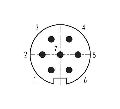 Disposición de los contactos (lado de la conexión) Push Pull Conector de cable macho, Número de contactos: 7, 4,0-8,0 mm, blindable, soldadura, IP67