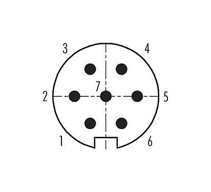 Disposition des contacts (Côté plug-in) 99 4825 00 07 - Push Pull Connecteur mâle, Contacts: 7, 4,0-8,0 mm, blindable, souder, IP67