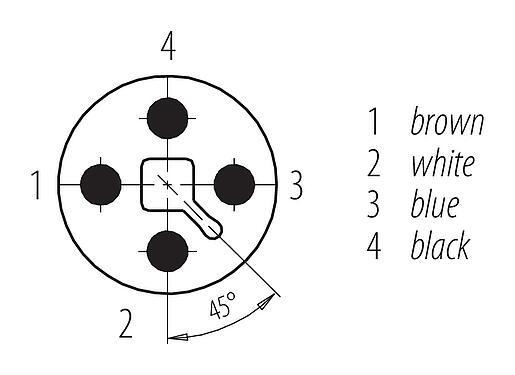 Disposición de los contactos (lado de la conexión) 77 0627 0000 50704-0500 - M12 Conector macho en ángulo, Número de contactos: 4, sin blindaje, moldeado en el cable, IP68, UL, PUR, negro, 4 x 1,50 mm², 5 m