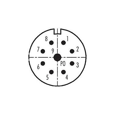 Contact arrangement (Plug-in side) M23 Male panel mount connector, Contacts: 9, unshielded, solder, IP67