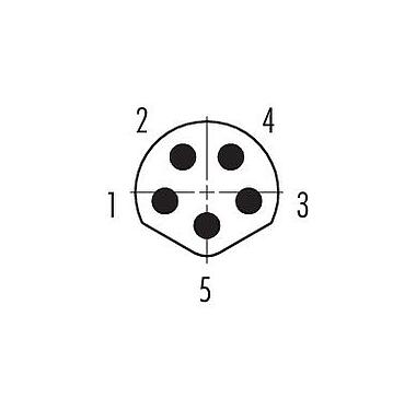 Disposición de los contactos (lado de la conexión) 86 6319 1121 00005 - M8 Enchufe de brida, Número de contactos: 5, blindable, THT, IP67, UL, atornillable por delante