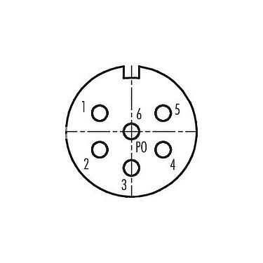 Disposición de los contactos (lado de la conexión) M23 Toma de brida, Número de contactos: 6, sin blindaje, soldadura, IP67