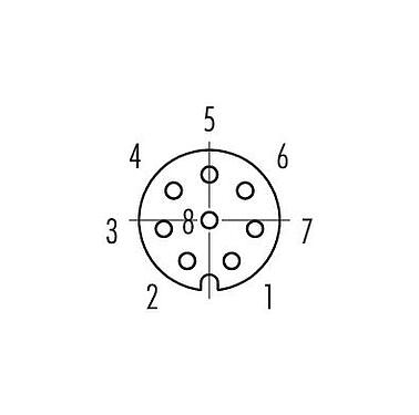 Contact arrangement (Plug-in side) 86 6618 1121 00008 - M8 Female panel mount connector, Contacts: 8, shieldable, THT, IP67, UL, M10x0.75, Front mounting