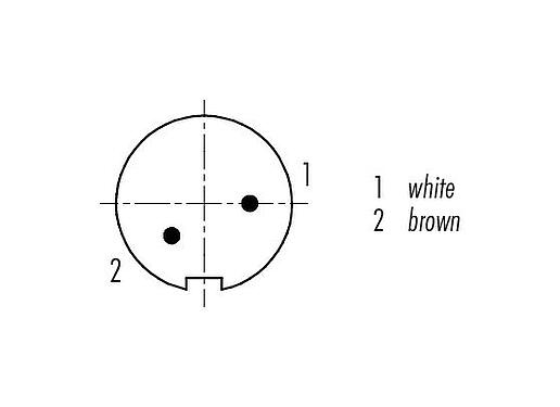 Disposición de los contactos (lado de la conexión) M9 Conector de cable macho, Número de contactos: 2, blindado, moldeado en el cable, IP67, PUR, negro, 5 x 0,25 mm², 2 m