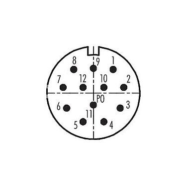 Contact arrangement (Plug-in side) M23 Male coupling connector, Contacts: 12, 6.0-10.0 mm, unshielded, solder, IP67