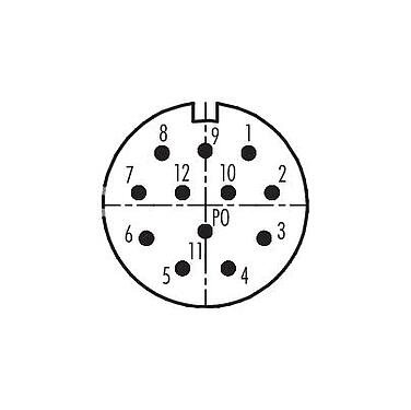 Disposición de los contactos (lado de la conexión) 99 4607 20 12 - M23 Enchufe de brida, Número de contactos: 12, sin blindaje, soldadura, IP67, fijación central