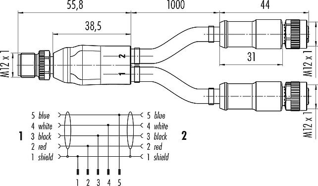 Dessin coté M12 Répartiteur de câbles connecteur mâle - 2 connecteurs femelle, Contacts: 5, blindé, surmoulé sur le câble, IP67, CAN-Bus, PUR, violet, 1 x 2 x AWG 22 + 1 x 2 x AWG 24, 1 m