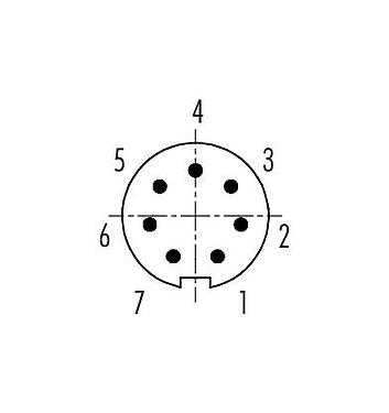 Disposition des contacts (Côté plug-in) 99 9475 100 07 - Baïonnette Connecteur mâle, Contacts: 7, 3,0-4,0 mm, non blindé, souder, IP40