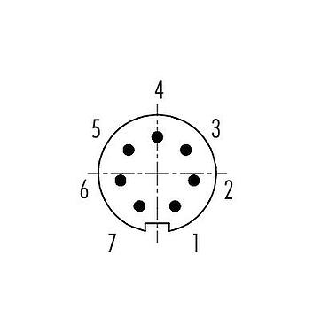 Disposición de los contactos (lado de la conexión) Bayoneta Conector de cable macho, Número de contactos: 7, 3,0-4,0 mm, sin blindaje, soldadura, IP40