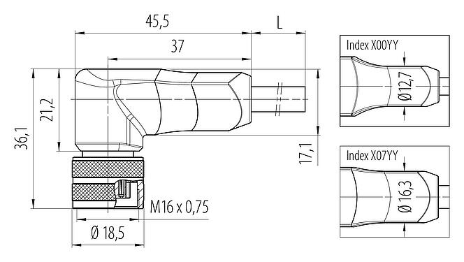 Scale drawing M16 Female angled connector, Contacts: 12, unshielded, moulded on the cable, IP67, PUR, black, 12 x 0.25 mm², 2 m
