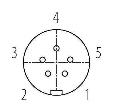 Contact arrangement (Plug-in side) Snap-In 6-way distributor, Contacts: 5, unshielded, pluggable, IP67