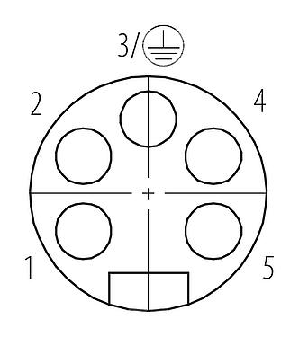 Disposición de los contactos (lado de la conexión) 7/8" Conector de cable hembra, Número de contactos: 4+PE, 10,0-12,0 mm, sin blindaje, tornillo extraíble, IP67, UL 2238, VDE
