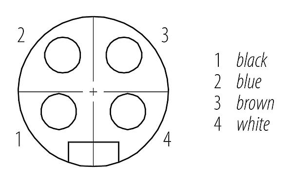 Disposition des contacts (Côté plug-in) 7/8" Embase femelle, Contacts: 4, non blindé, fils, IP68, UL 2238, VDE, PG 11, Montage frontal, coulé