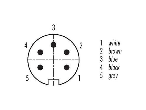 Disposition des contacts (Côté plug-in) 79 6213 200 05 - M16 Connecteur mâle coudé, Contacts: 5 (05-a), non blindé, surmoulé sur le câble, IP67, PUR, noir, 5 x 0,25 mm², 2 m