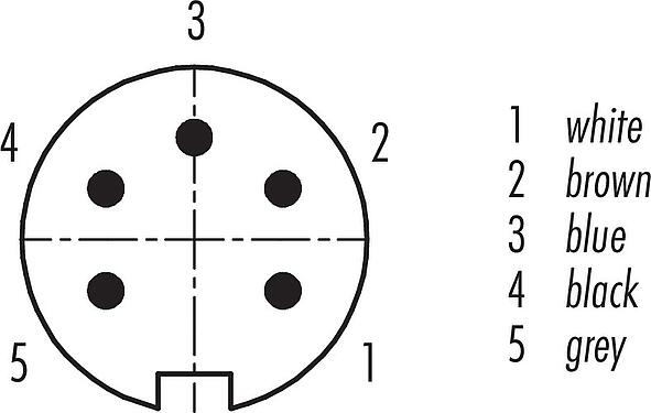 Contact arrangement (Plug-in side) M16 Male cable connector, Contacts: 5 (05-a), unshielded, moulded on the cable, IP67, PUR, black, 5 x 0.25 mm², 2 m
