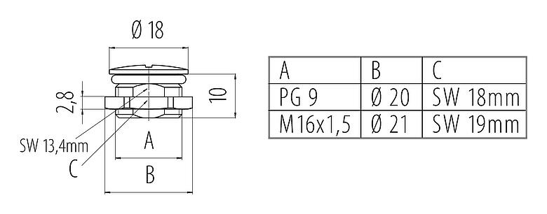 Dibujo a escala Tapón ciego / Tapón ciego, IP67, alternativamente con la superficie como protección contra la torsión