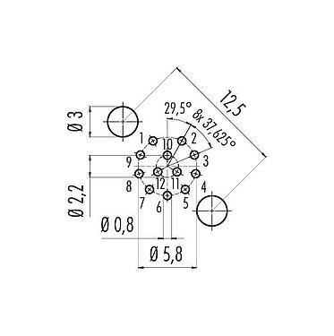 Conductor layout M12 Female panel mount connector, Contacts: 12, shieldable, THT, IP68, UL 2238, PG 9, Rear mounting, potted