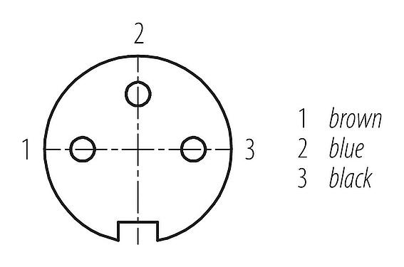 Disposición de los contactos (lado de la conexión) 77 6430 0000 50003-0200 - M16 Conector de cable hembra, Número de contactos: 3, sin blindaje, moldeado en el cable, IP68, PUR, negro, 3 x 0,34 mm², 2 m
