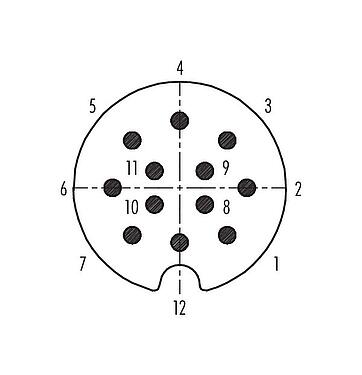 Disposition des contacts (Côté plug-in) Baïonnette Connecteur mâle, Contacts: 12, 5,0-8,0 mm, blindable, souder, IP40