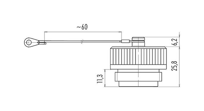 Dibujo a escala Tapa protectora, IP65, para la toma de brida