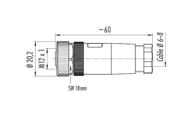 Dibujo a escala M12 Conector de cable hembra, Número de contactos: 2+PE, 6,0-8,0 mm, sin blindaje, tornillo extraíble, IP67, UL 2238