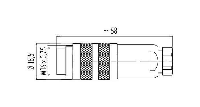 Dibujo a escala M16 Conector de cable macho, Número de contactos: 7 (07-b), 4,0-6,0 mm, blindable, soldadura, IP67, UL 2238