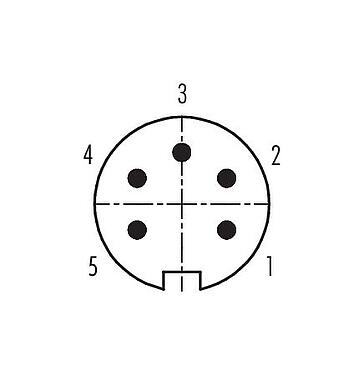 Disposition des contacts (Côté plug-in) 99 0613 00 05 - Baïonnette Connecteur mâle, Contacts: 5, 3,0-6,0 mm, non blindé, souder, IP40