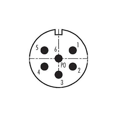 Disposición de los contactos (lado de la conexión) 99 4637 00 06 - M23 Conector de montaje en panel macho cuadrado, Número de contactos: 6, sin blindaje, soldadura, IP67, atornillable por delante