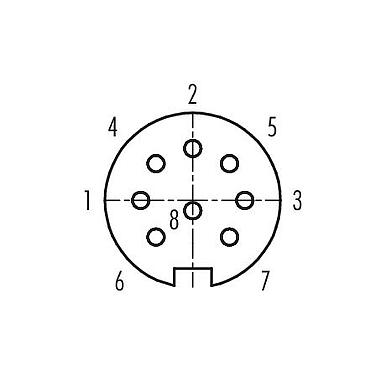 Disposición de los contactos (lado de la conexión) 99 0646 02 08 - Bayoneta Conector de cable hembra, Número de contactos: 8, 6,0-8,0 mm, sin blindaje, soldadura, IP40