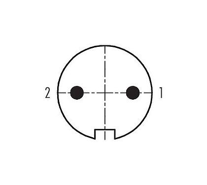 Disposition des contacts (Côté plug-in) 99 0601 72 02 - Baïonnette Connecteur mâle coudé, Contacts: 2, 6,0-8,0 mm, non blindé, souder, IP40