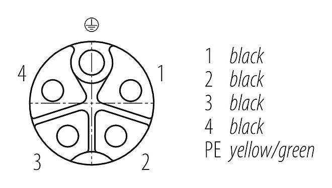 Disposición de los contactos (lado de la conexión) M12 Conector hembra en ángulo, Número de contactos: 4+PE, sin blindaje, moldeado en el cable, IP68, UL 2238, PUR, negro, 5 x 1,50 mm², 5 m
