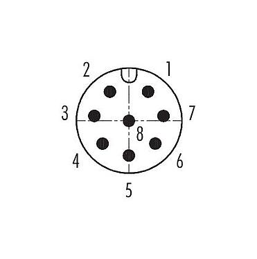 Disposición de los contactos (lado de la conexión) 09 5244 10 08 - M12 Casquillo del armario de distribución, Número de contactos: 8, blindado, enchufable, IP67, UL, M12x1,0