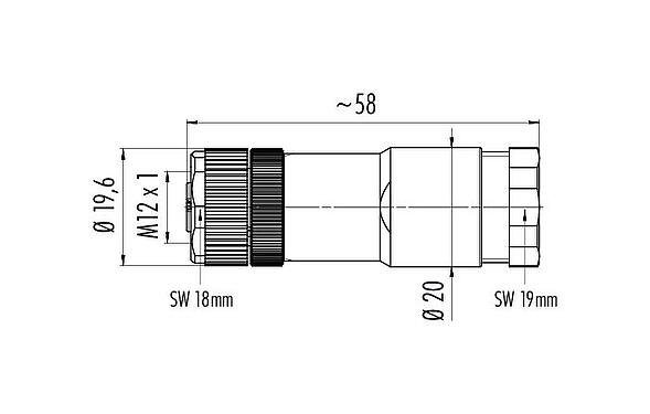 Scale drawing M12 Female cable duo connector, Contacts: 5, 2.1-3.0 mm (2 cable) or 4-5 mm (2 cable), unshielded, screw clamp, IP67, UL 2238