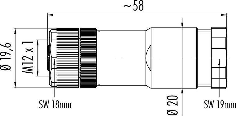 Scale drawing M12 Female cable duo connector, Contacts: 4, 2.1-3.0 mm (2 cable) or 4-5 mm (2 cable), unshielded, screw clamp, IP67, UL 2238
