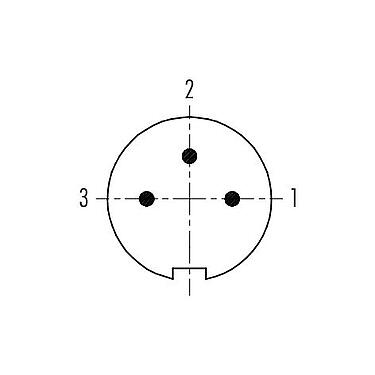 Disposition des contacts (Côté plug-in) 99 4905 00 03 - Push Pull Connecteur mâle, Contacts: 3, 3,5-5,0 mm, blindable, souder, IP67