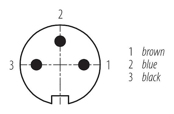 Disposition des contacts (Côté plug-in) M16 Connecteur mâle, Contacts: 3, non blindé, surmoulé sur le câble, IP67, PUR, noir, 3 x 0,34 mm², 2 m