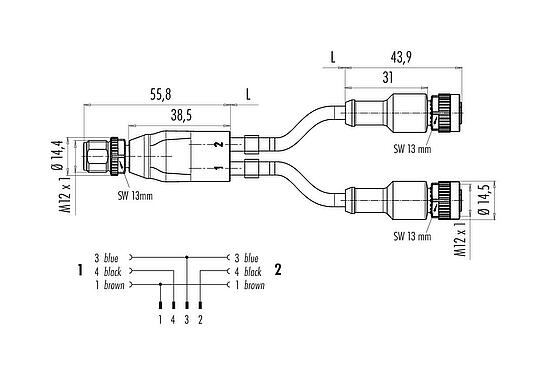 Scale drawing M12 Male cable splitter - 2 female cable connectors, Contacts: 4/3, unshielded, moulded on the cable, IP68, UL 2238, PUR, black, 3 x 0.34 mm², 2 m