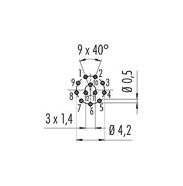 Conductor layout M8 Female panel mount connector, Contacts: 12, unshielded, THT, IP67/IP69K, UL 2238, M10x0.75, Rear mounting, screwable from the front, potted