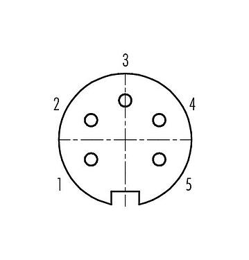 Disposición de los contactos (lado de la conexión) 99 4814 00 05 - Push Pull Conector de cable hembra, Número de contactos: 5, 4,0-8,0 mm, blindable, soldadura, IP67