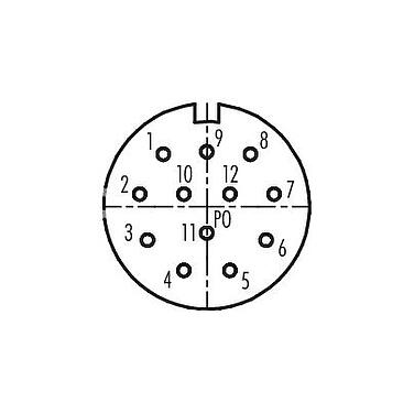 Contact arrangement (Plug-in side) M23 Female cable connector, Contacts: 12, 6.0-10.0 mm, unshielded, solder, IP67